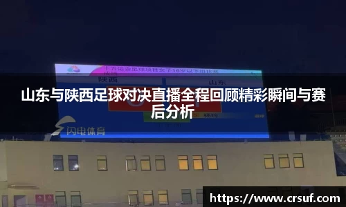 山东与陕西足球对决直播全程回顾精彩瞬间与赛后分析