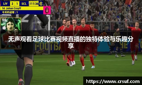 无声观看足球比赛视频直播的独特体验与乐趣分享