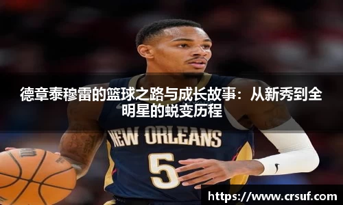 德章泰穆雷的篮球之路与成长故事：从新秀到全明星的蜕变历程