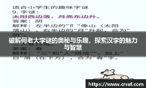 破解何老大字谜的奥秘与乐趣，探索汉字的魅力与智慧