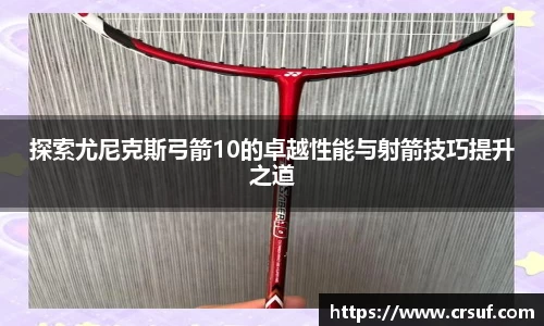 探索尤尼克斯弓箭10的卓越性能与射箭技巧提升之道