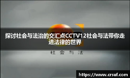 探讨社会与法治的交汇点CCTV12社会与法带你走进法律的世界