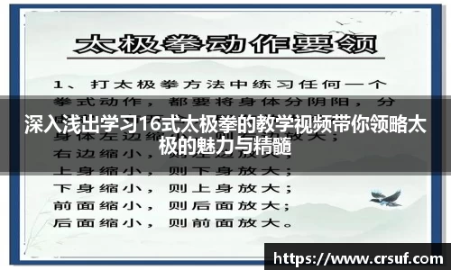 深入浅出学习16式太极拳的教学视频带你领略太极的魅力与精髓