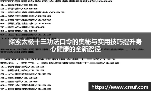 探索太极十三功法口令的奥秘与实用技巧提升身心健康的全新路径